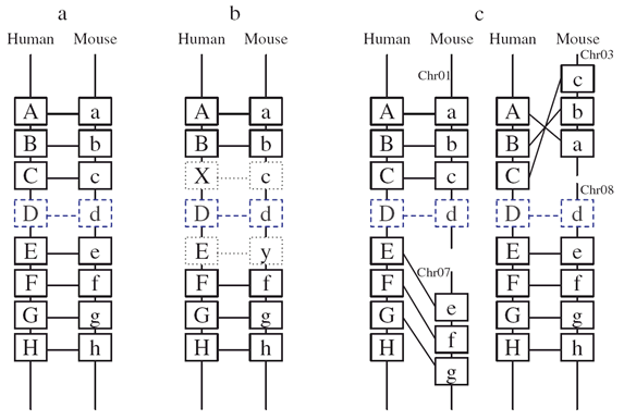 fig2